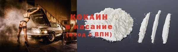 ГАЛЛЮЦИНОГЕННЫЕ ГРИБЫ Лагань