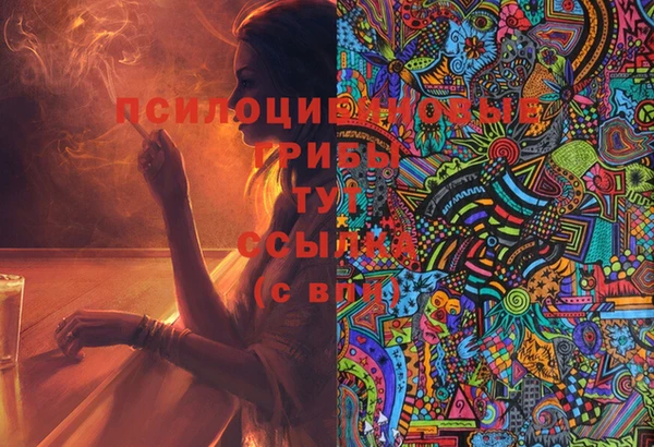 ГАЛЛЮЦИНОГЕННЫЕ ГРИБЫ Лагань