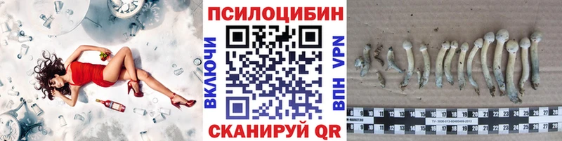 наркошоп  Шахты  Псилоцибиновые грибы Psilocybine cubensis 