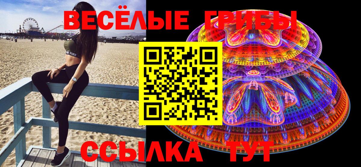 Шахты  Псилоцибиновые грибы Psilocybe  Вход с VPN 